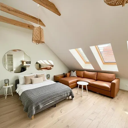 Castle Street Modern I Cohost Vilnius