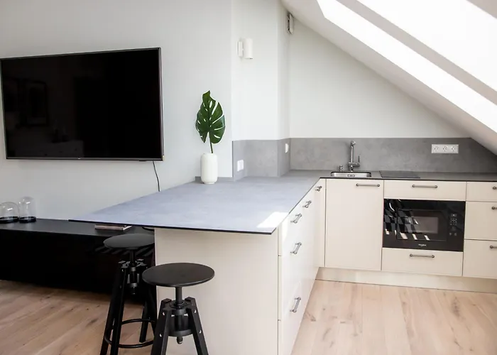 Castle Street Modern I Cohost