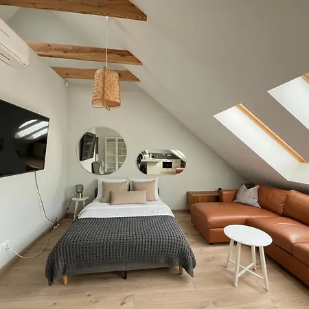 Castle Street Modern I Cohost Апартаменты Вильнюс