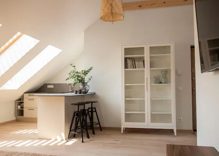 Castle Street Modern I Cohost Апартаменты Вильнюс